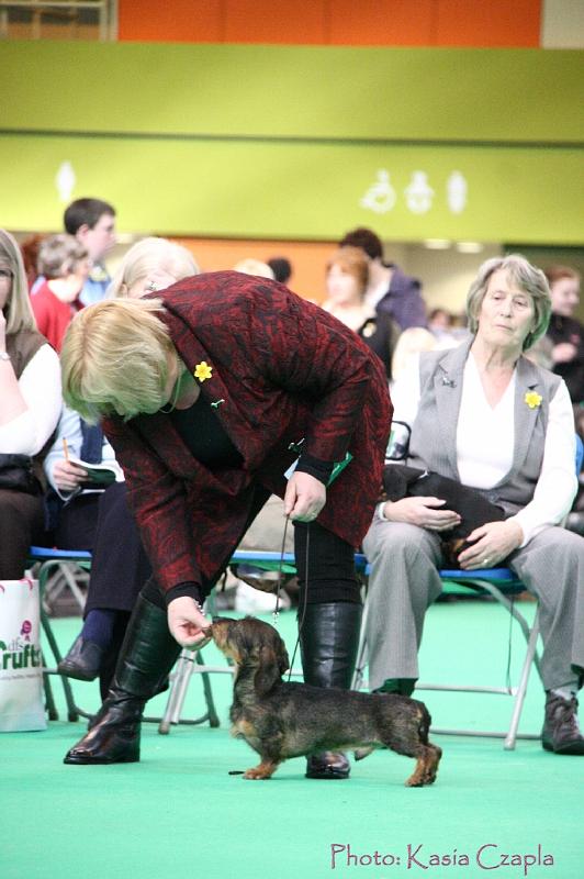 Crufts2011_2 836.jpg